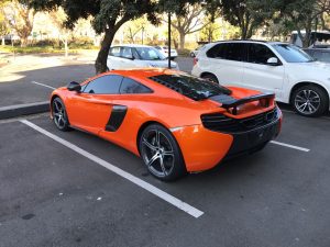 Exoticspotsa Week 31 2017