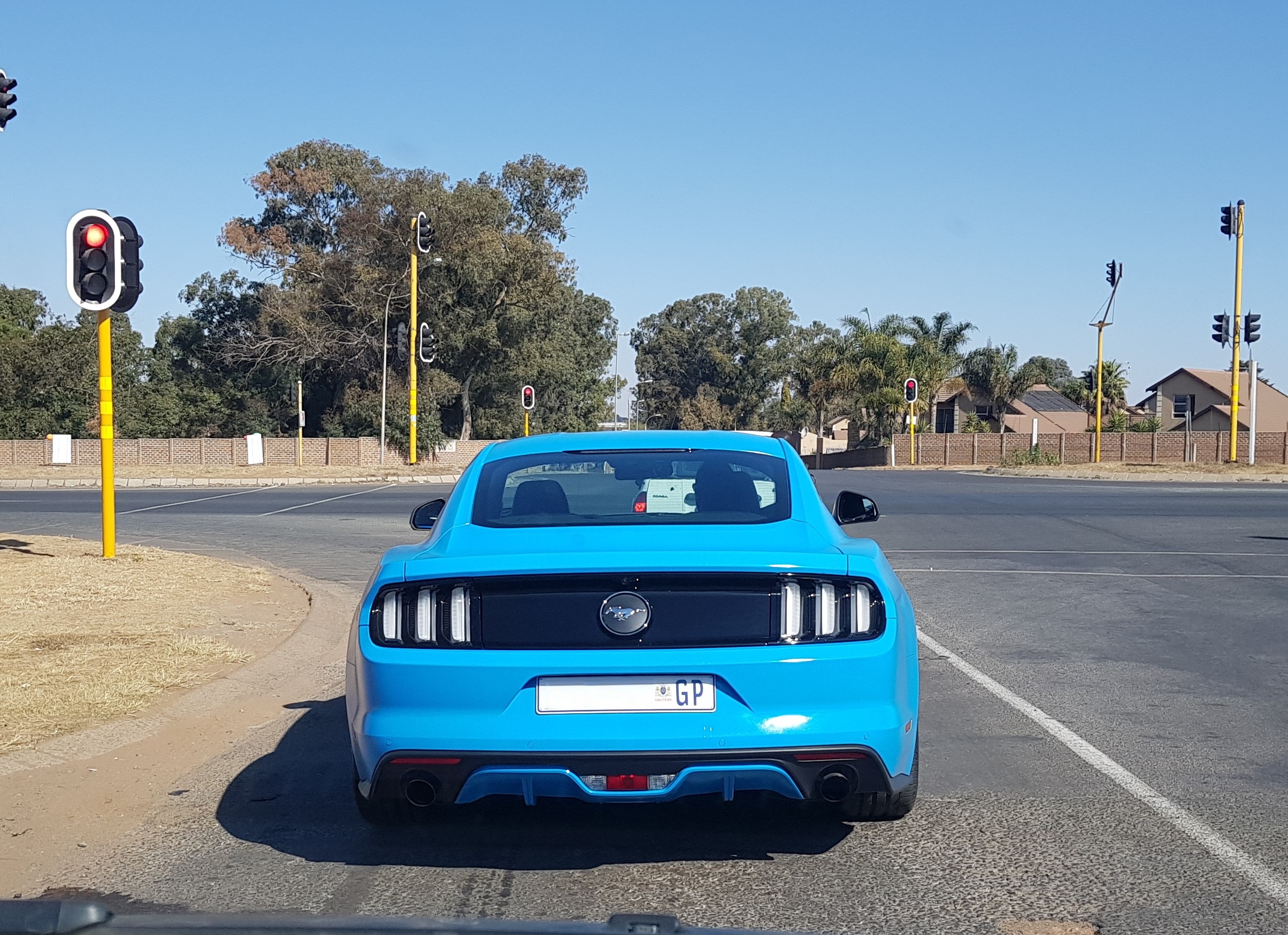 bright blue ford mustang south africa