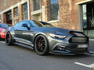 shelby super snake south africa