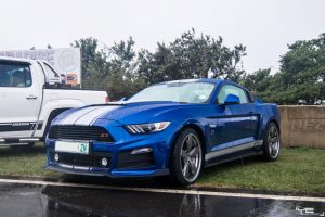 roush ford mustang south africa