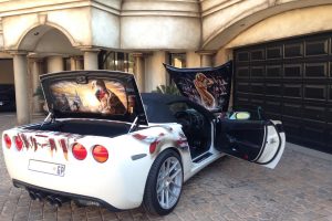 corvette america eagle lady south africa