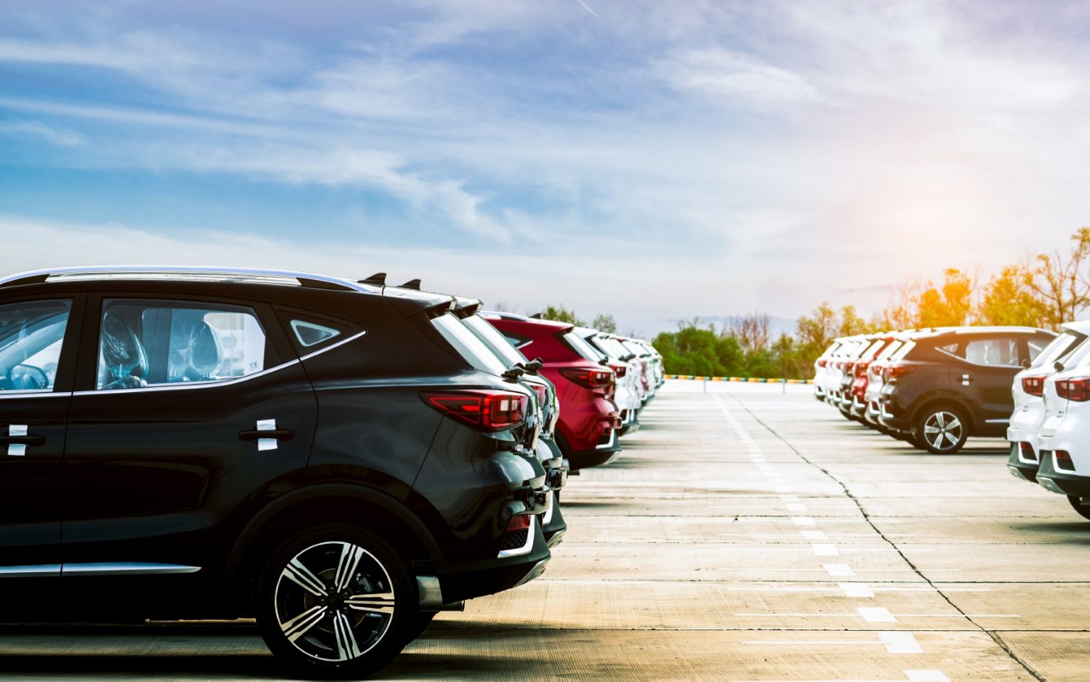 Who Is Canada’s Largest Car Dealership? What You Should Know About Them